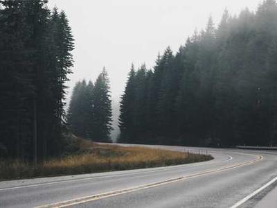 蘑菇视频官网 - 美食制作教程